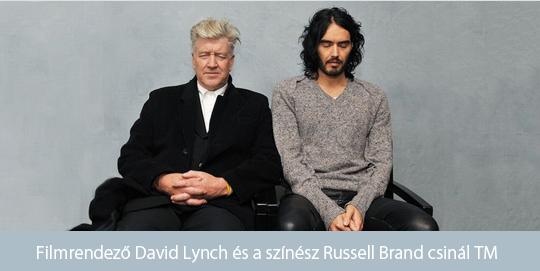 Brand and Lynch