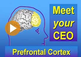 Video: TM enhances brain's executive functioning